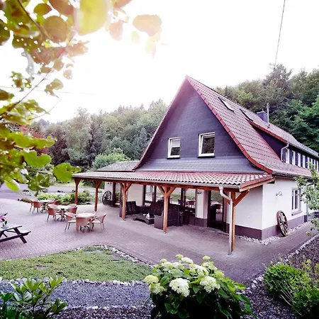 Villa Ferienhaus 12 Personen Westerwald L Wellness, Kino Und Bar *
